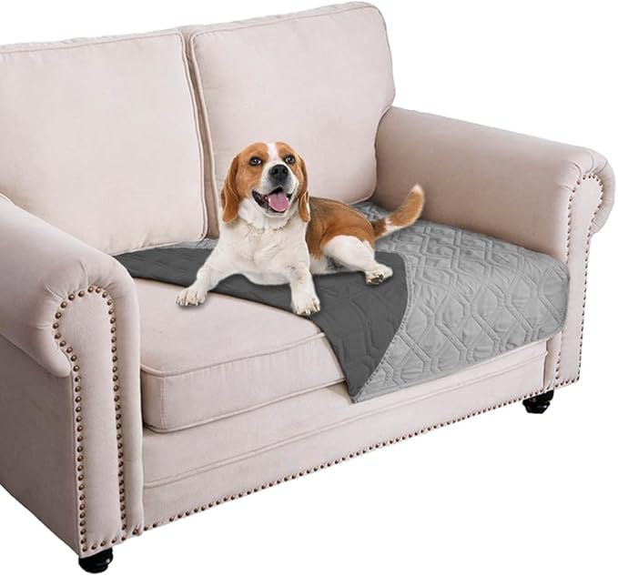 Dog Beds & Furniture