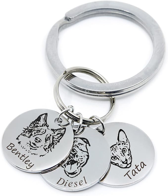 Novelty Dog Collars & More