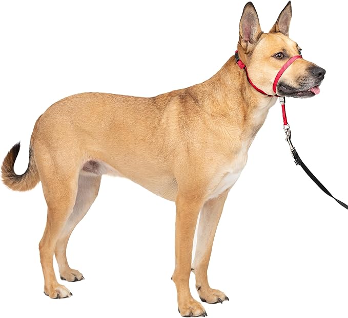 Collars