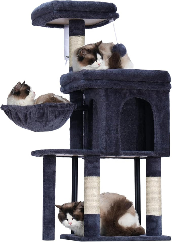 Dog Beds & Furniture