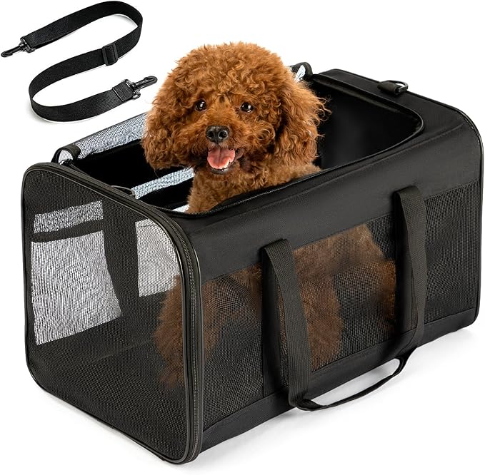 Dog Carriers & Travel Products