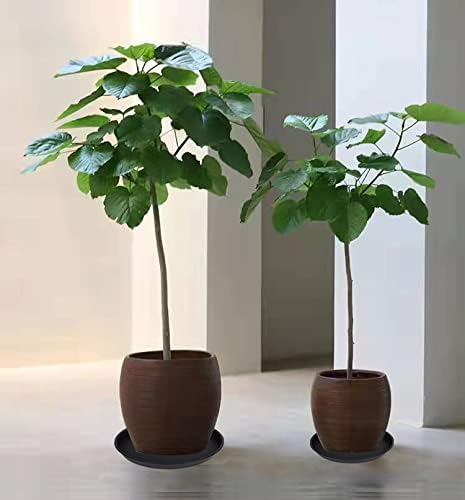 2 Pack of 10 inch Plant Saucer Gray, Heavy Duty Plastic Plant Saucer 10 inch - Image 5