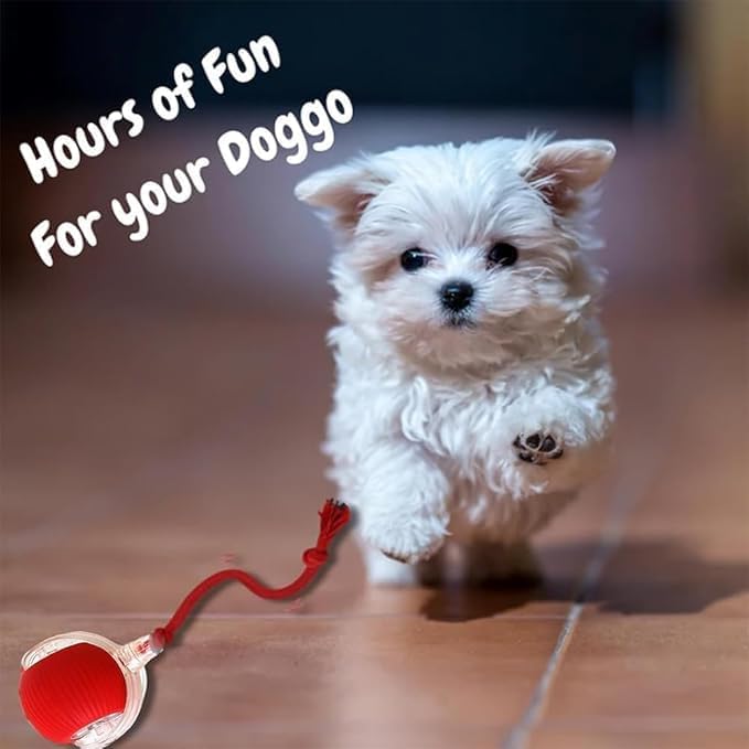 2024 New Electric Dog Ball Toy for Cat, 360° Smart Automatic Interactive - Image 2