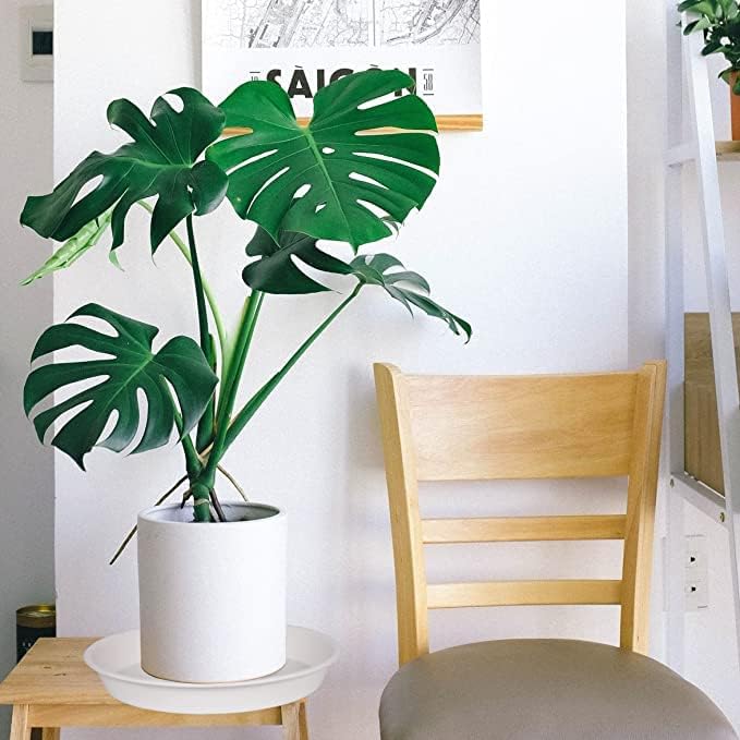 2 Pack of 10 inch Plant Saucer Gray, Heavy Duty Plastic Plant Saucer 10 inch - Image 6