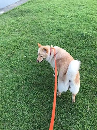 AmaGood Dog/Puppy Obedience Recall Training Agility Lead-15ft 20ft 30ft 50ft - Image 5