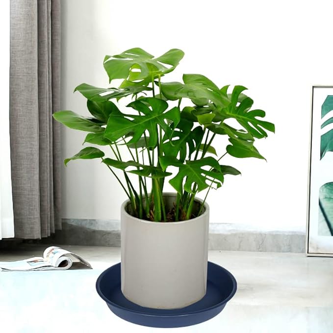 2 Pack of 16 17 inch Plant Saucer, 2.3" Depth, Plant Trays - Image 5