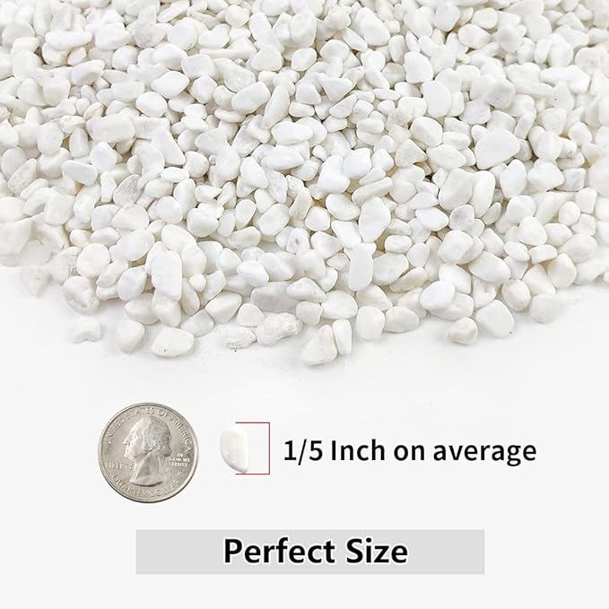10LB Succulent and Cactus Gravel, 1/5 Inch White Natural Decorative Polished - Image 2
