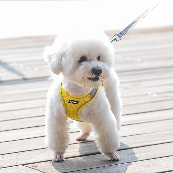 AIITLE Step in Dog Harness and Leash Set - Image 6