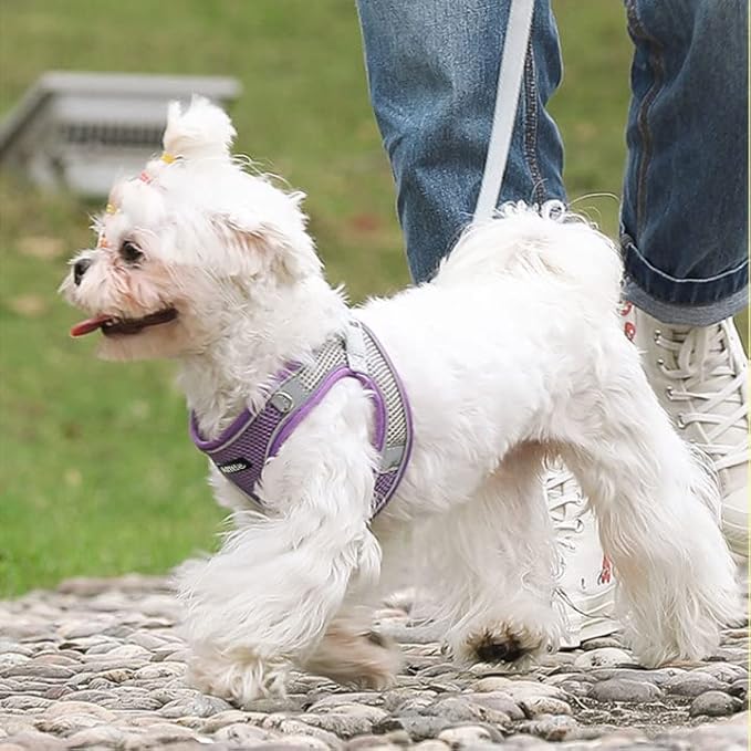AIITLE No Pull Dog Harness and Leash Set, Step in Adjustable Dog Harness - Image 4