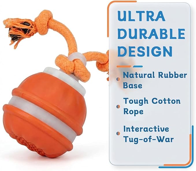 Zealburst Interactive Dog Toy Ball, 2026 Upgraded Motion Activated Rolling Ball - Image 4