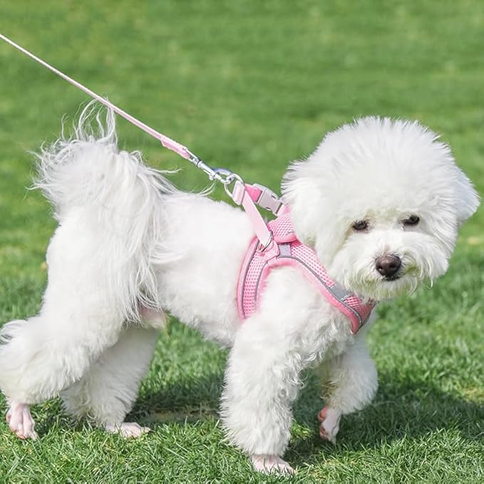 AIITLE Dog Harness, No-Pull Cat Harness - Image 8