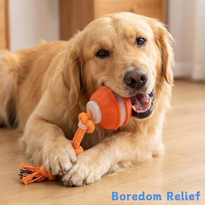 Zealburst Interactive Dog Toy Ball, 2026 Upgraded Motion Activated Rolling Ball - Image 2