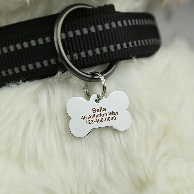 Personalized Dog Cute Paw Pet ID Tag - Image 6