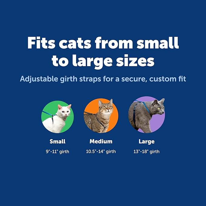 PetSafe Come With Me Kitty Cat Harness & Bungee Leash - Image 7