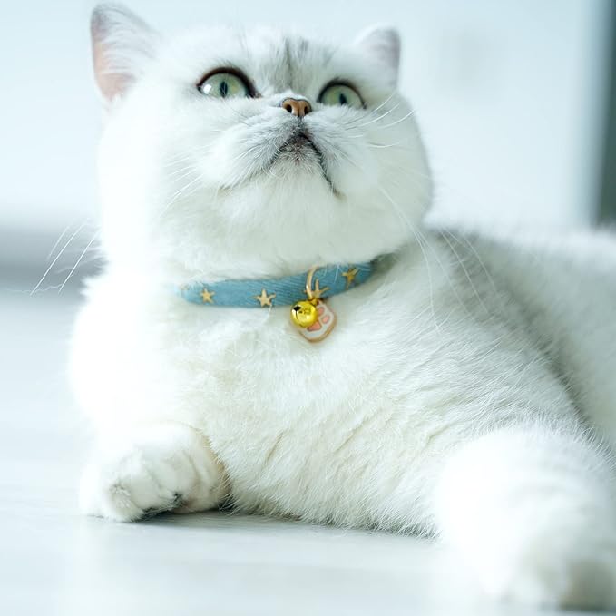 2 Pack Denim Breakaway Cat Collars - Image 5