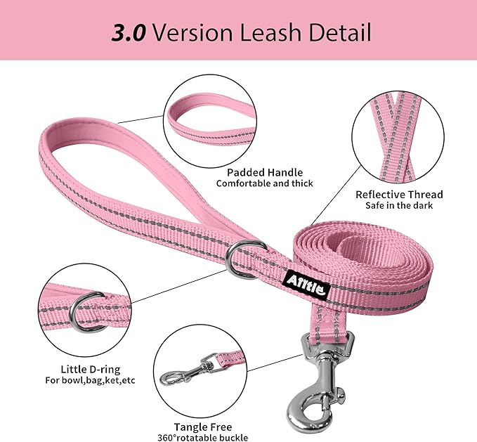 AIITLE Easy Walk Dog Harness and Leash Set - Image 3
