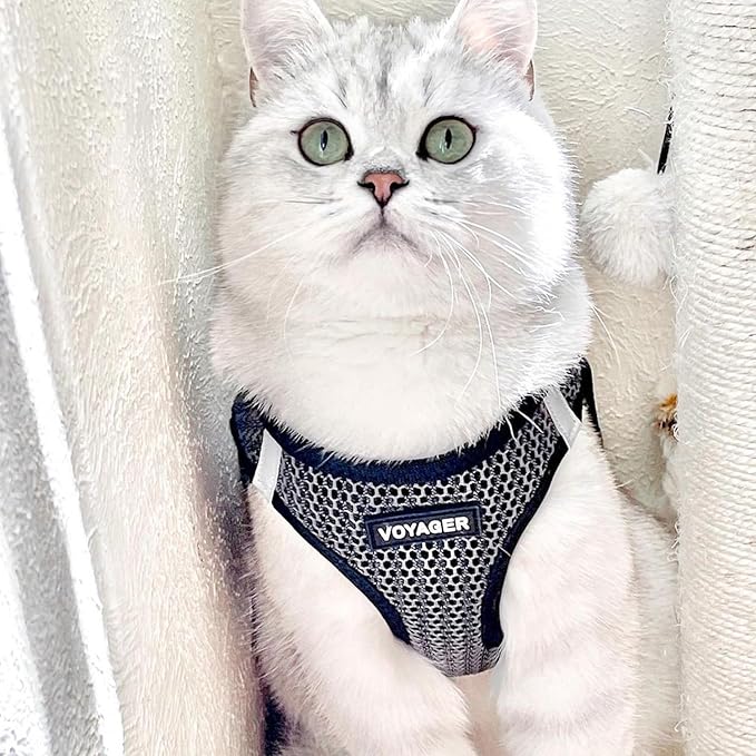Best Pet Supplies Voyager Step-in Air All Weather Mesh Harness and Reflective - Image 8