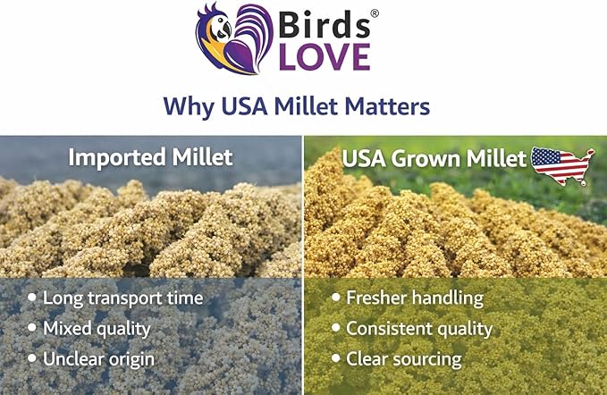 1lb Millet Tips & Tails for Birds - Image 7