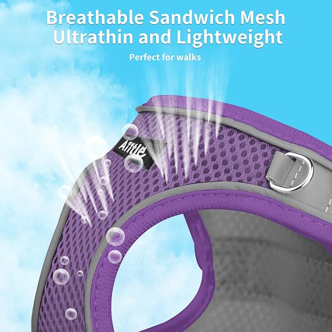 AIITLE Step in Dog Harness and Leash Set - Image 3
