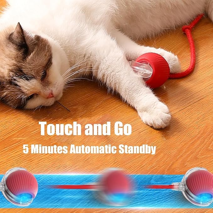 2 Packs Interactive Cat Toy, Electric DogBall Toy, Cat Toys - Image 7