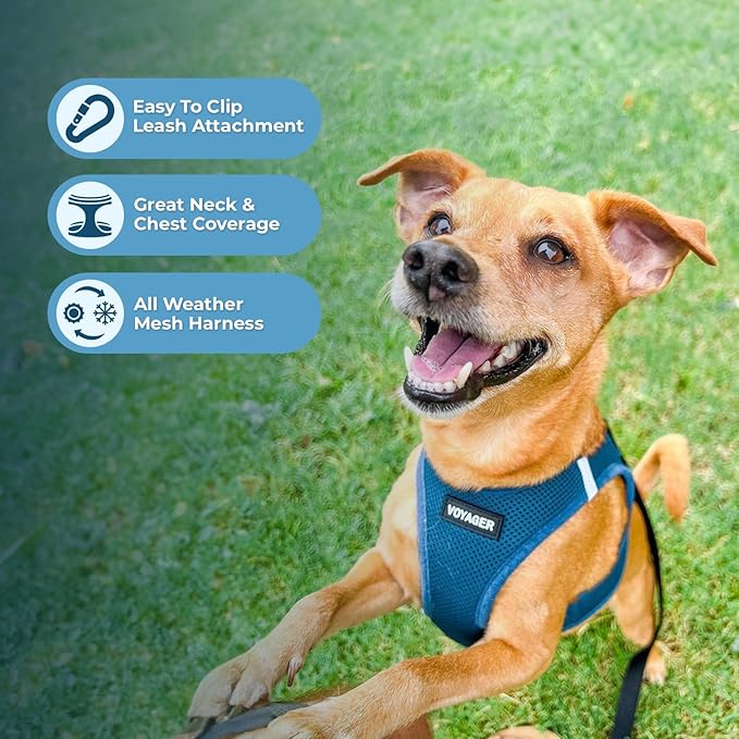 Best Pet Supplies Voyager Step-in Air All Weather Mesh Harness and Reflective - Image 7