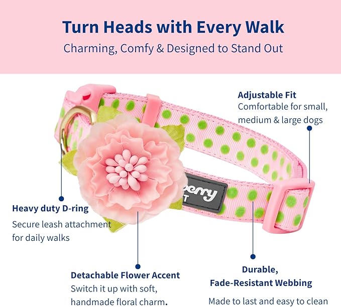 Blueberry Pet Adjustable Flocking Dog Collar - Image 2