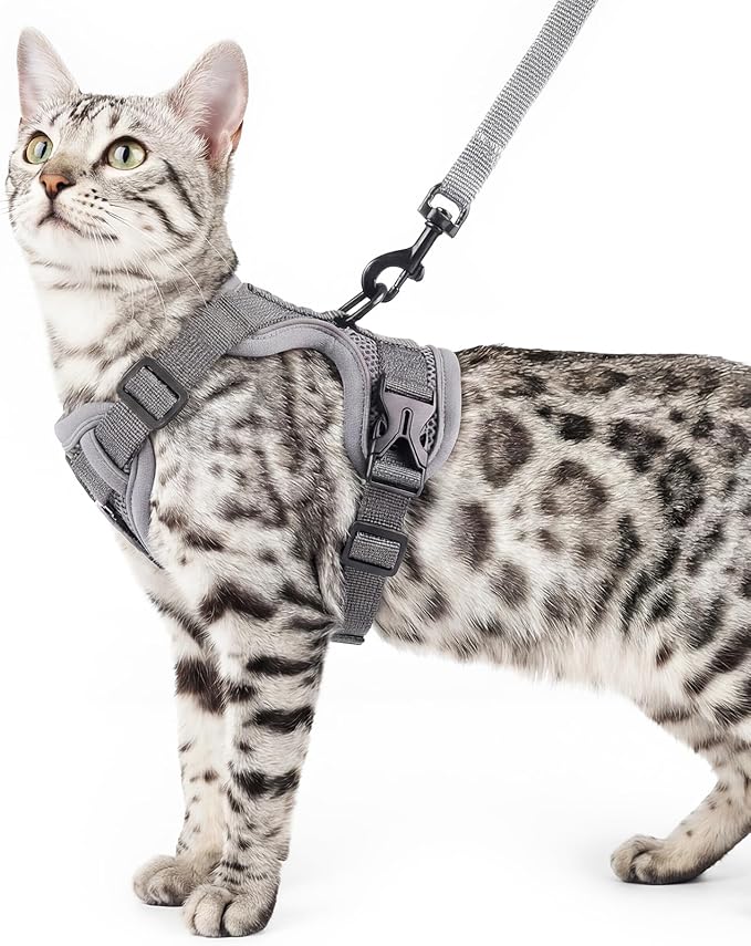 Cat Harness and Leash Set Escape Proof Tactical Large Kitten Harness Emotional by pangdi