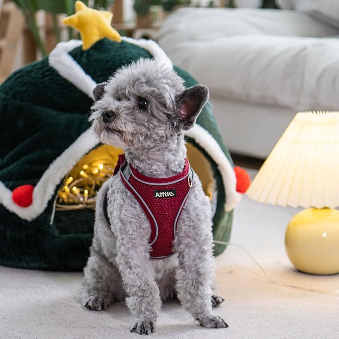 AIITLE No Pull Dog Harness and Leash Set, Christmas Step in Adjustable Dog - Image 9