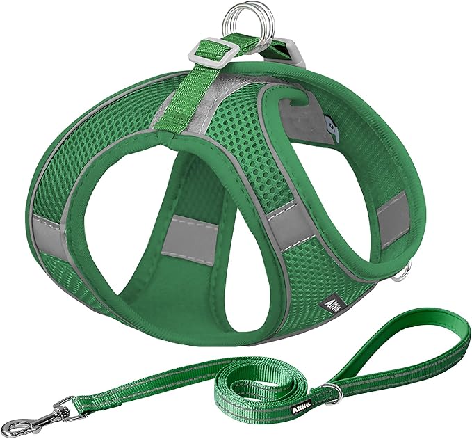 AIITLE Small Harness for Puppy by AIITLE-FORPETSBETTERLIFE