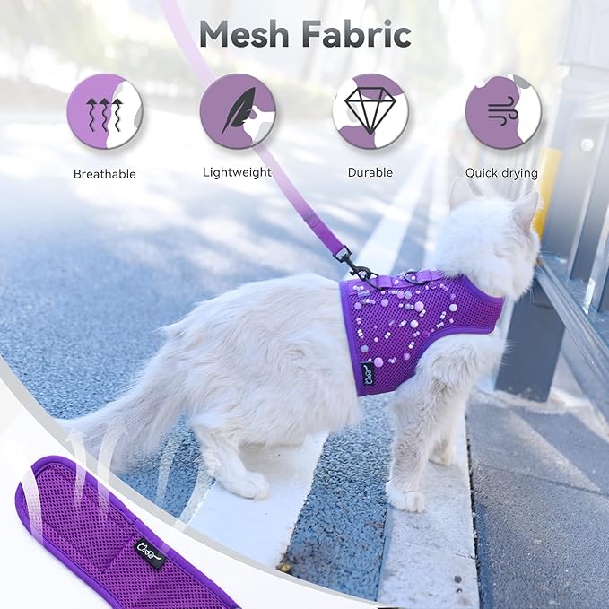 Cat Harness and Leash for Walking Escape Proof Breathable Mesh Fabric, Extra - Image 4