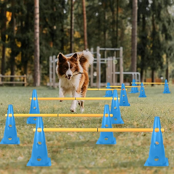 TNZMART Dog Agility Hurdle Cones Pet Jump Training Set Dog Agility Course - Image 2