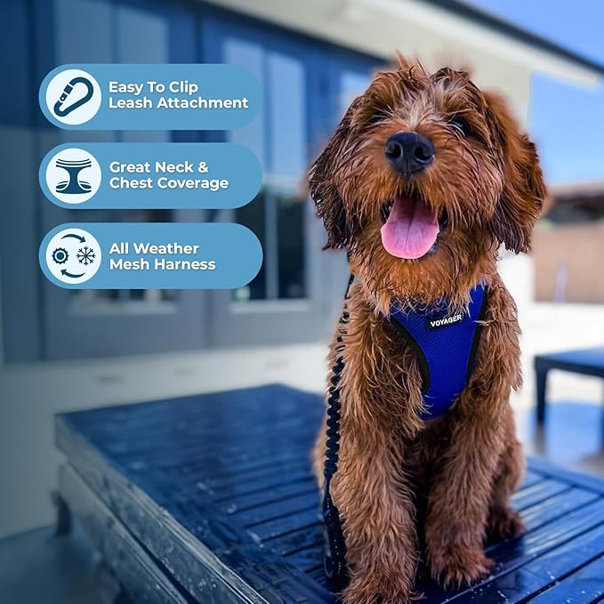 Best Pet Supplies Voyager Step-in Air All Weather Mesh Harness and Reflective - Image 6