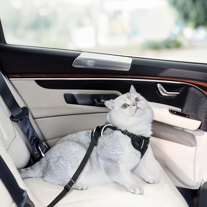 Cat Harness and Leash Set for Walking Escape Proof, Improved Four Place - Image 4