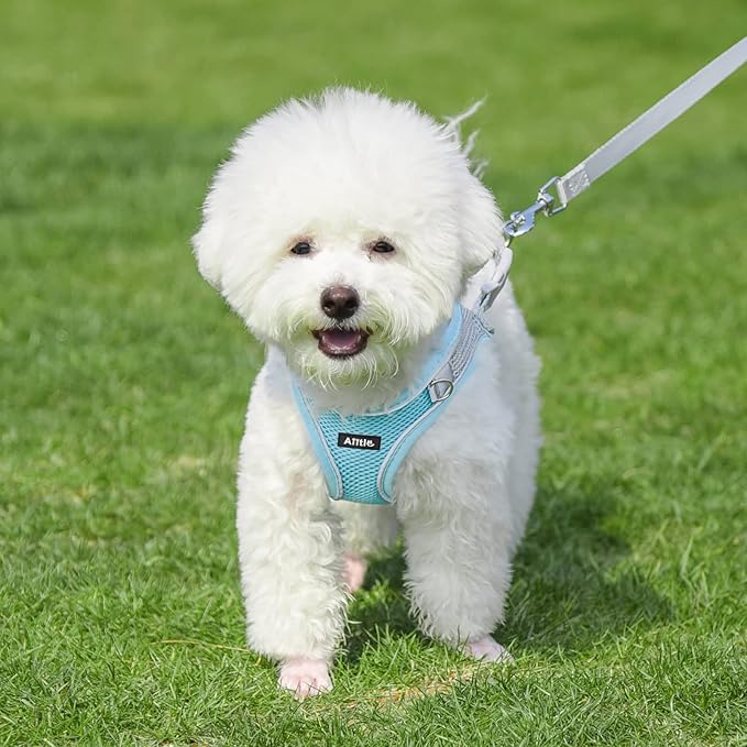 AIITLE Comfortable Dog Harness and Leash Set - Image 4
