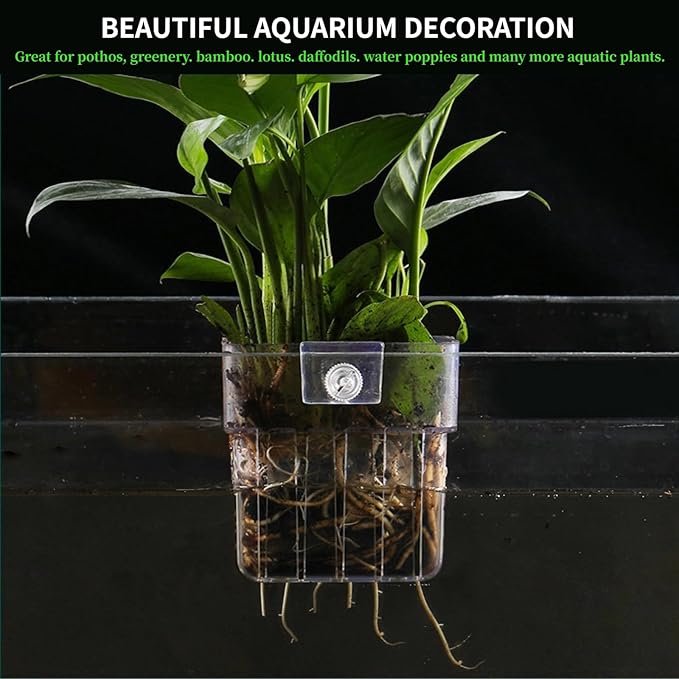 2 PCS Aquarium Plant Holder Top Hanging Fish Tank Plant Pot Aquarium Planter - Image 7