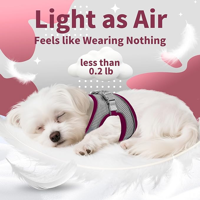 AIITLE Comfortable Dog Harness and Leash Set - Image 5