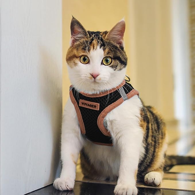 Voyager Step-in Air Dog Harness - Image 9