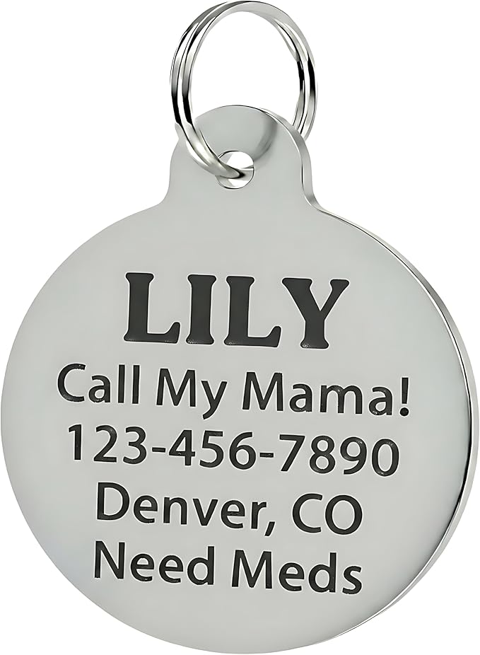 Bad Tags Personalized Dog and Cat ID Tags in 25+ Designs and 2 Sizes - Image 3