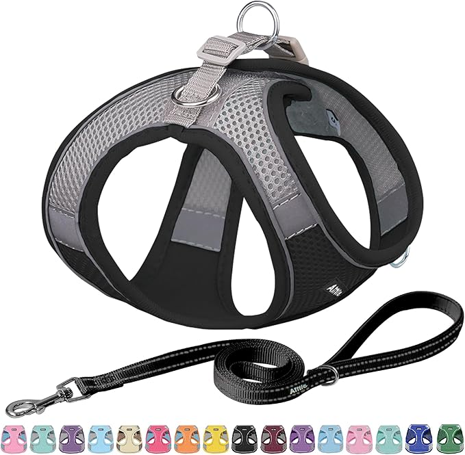 AIITLE Step in Dog Harness and Leash Set by AIITLE-FORPETSBETTERLIFE