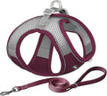 AIITLE Step in Dog Harness and Leash Set by AIITLE-FORPETSBETTERLIFE