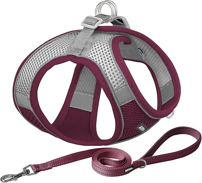 AIITLE Small Harness for Puppy by AIITLE-FORPETSBETTERLIFE
