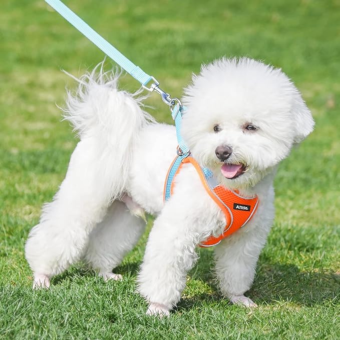 AIITLE Comfortable Dog Harness and Leash Set - Image 6