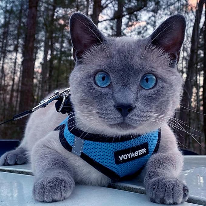 Best Pet Supplies Voyager Step-in Air All Weather Mesh Harness and Reflective - Image 7
