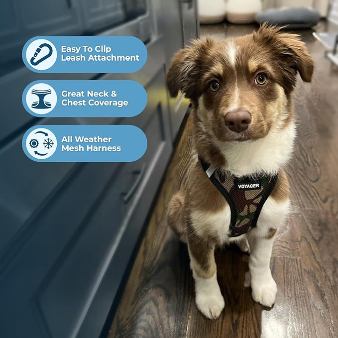 Best Pet Supplies - Image 5