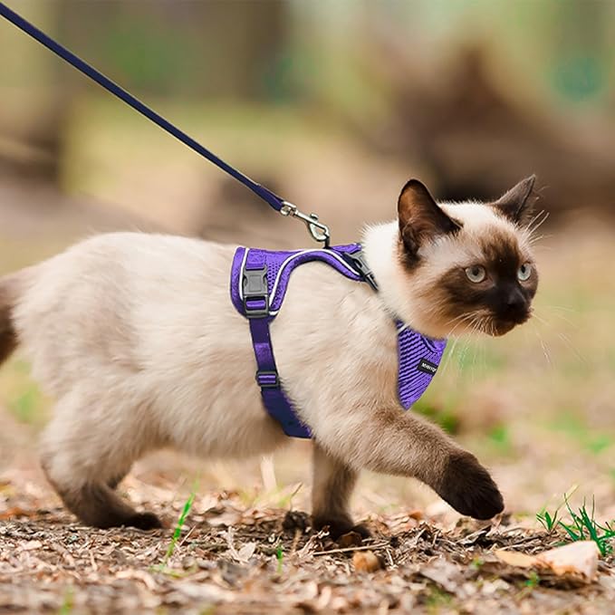 Cat Harness, Cat Harness and Leash - Image 5