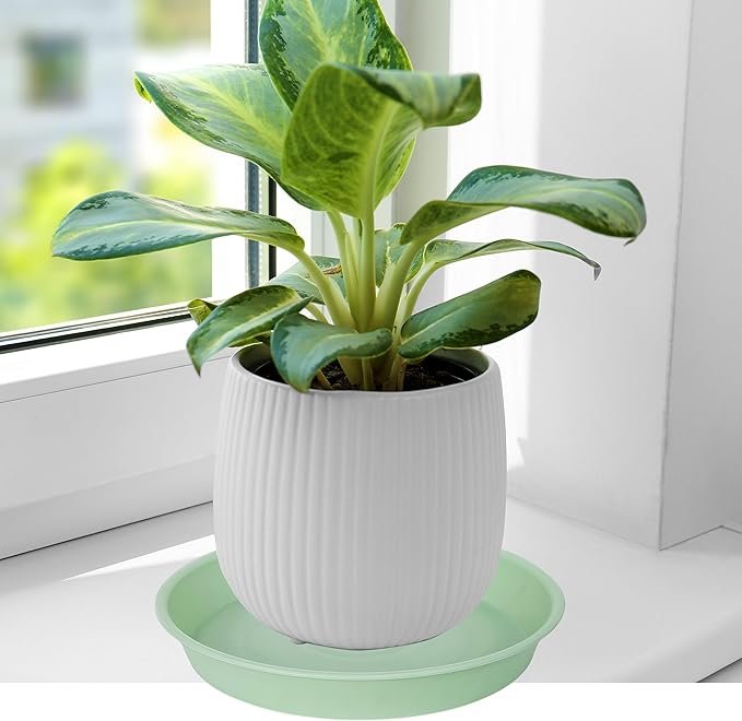 2 Pack of 14 inch Plant Saucers Bird Bath Bow Round, Plastic Plant Saucer Tray - Image 4