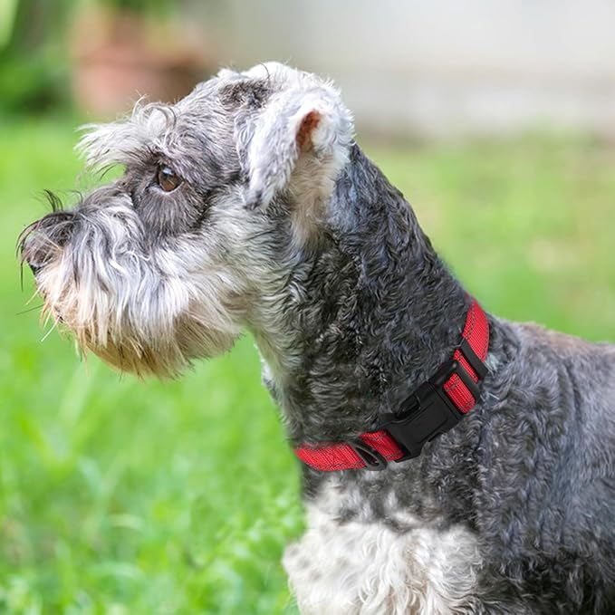Joytale Reflective Dog Collar, Soft Neoprene Padded Breathable Nylon Pet Collar - Image 2