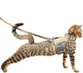 Tactical Cat Harness and Leash for Walking Escape Proof Breathable Mesh Fabric by Yizhi+Miaow