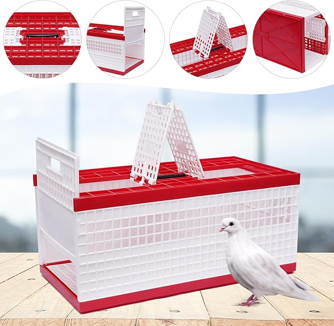 Folding Pigeon Cage with Handle, Portable Plastic Bird Travel Carrier Cage with - Image 5
