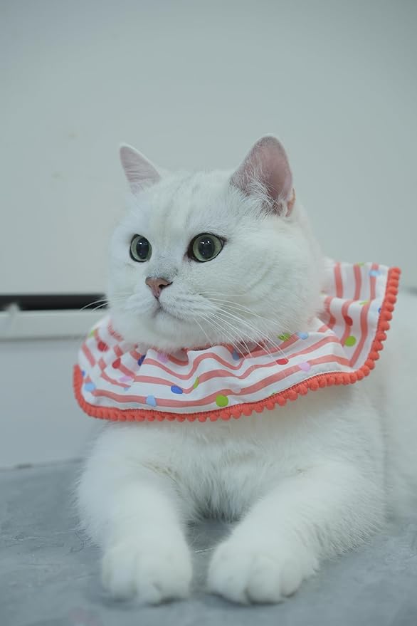 Cat Dog Birthday Bandana Scarf and Party Hat Cute Polka dot and Stripe Bib - Image 5